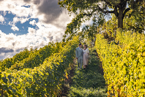 ballade dans les vignes le jour du mariage